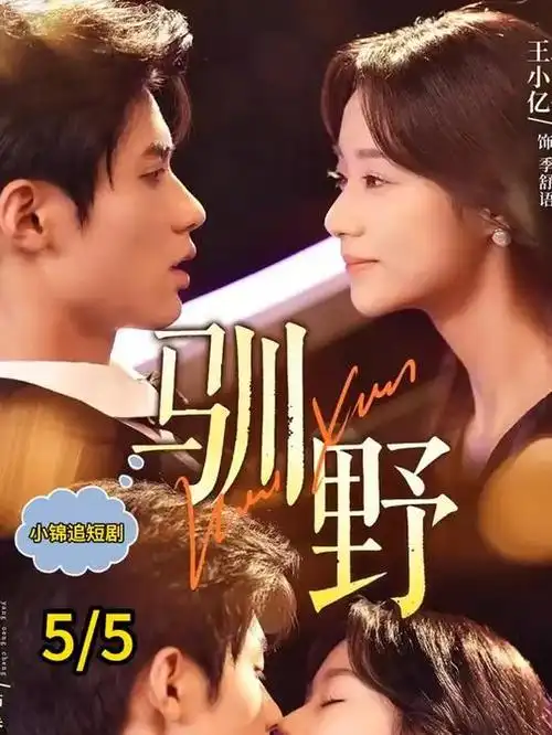 城西往事年代剧手机免费观看